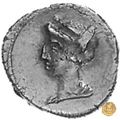 405/1 - denario M. Plaetorius M.f. Cestianus 69 BC (Roma)