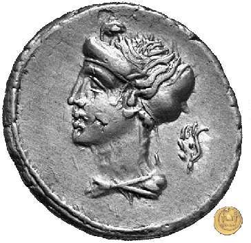 405/1 - denario M. Plaetorius M.f. Cestianus 69 BC (Roma)