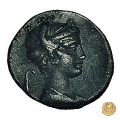 405/3 - denario M. Plaetorius M.f. Cestianus 69 BC (Roma)