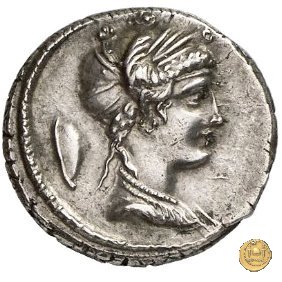 405/4 - denario M. Plaetorius M.f. Cestianus 69 BC (Roma)