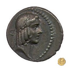 408/1 - denario C. Calpurnius Piso L.f. Frugi 67 BC (Roma)