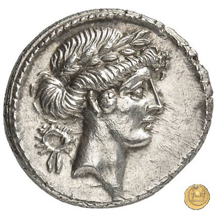 410/10 - denario Q. Pomponius Musa 66 a.C. (Roma)