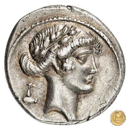 410/2 - denario Q. Pomponius Musa 66 BC (Roma)