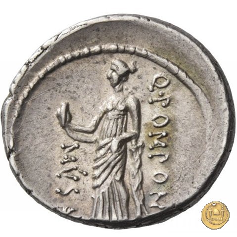 410/3 - denario Q. Pomponius Musa 66 BC (Roma)