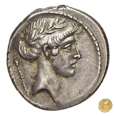 410/4 - denario Q. Pomponius Musa 66 a.C. (Roma)