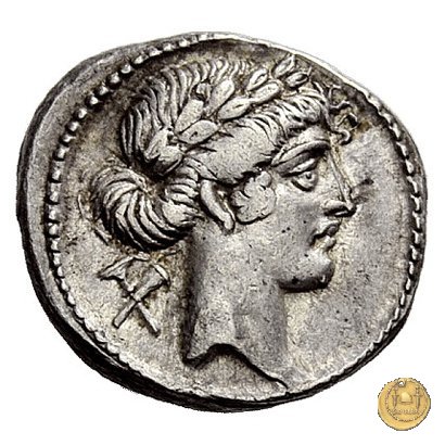 410/5 - denario Q. Pomponius Musa 66 a.C. (Roma)