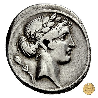 410/6 - denario Q. Pomponius Musa 66 BC (Roma)