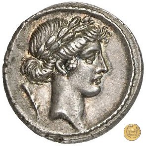 410/7 - denario Q. Pomponius Musa 66 a.C. (Roma)