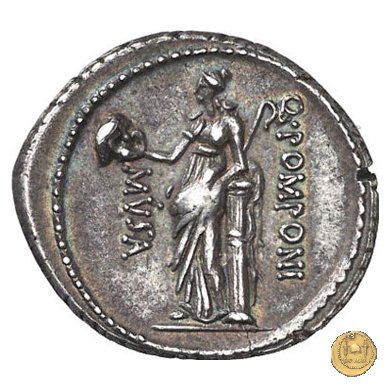 410/9 - denario Q. Pomponius Musa 66 BC (Roma)