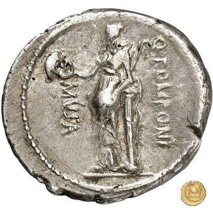 410/9 - denario Q. Pomponius Musa 66 BC (Roma)