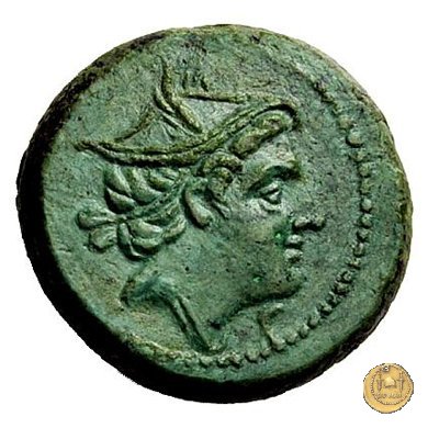 41/11 215-212 BC (Roma)