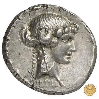 411/1 - denario L. Manlius Torquatus 65 BC (Roma)