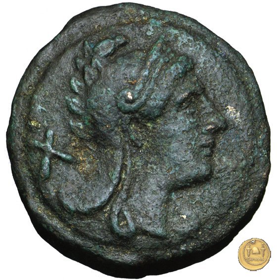 41/1 215-212 BC (Roma)