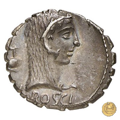 412/1 - denario L. Roscius Fabatus 64 BC (Roma)