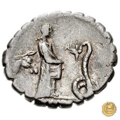 412/1 - denario L. Roscius Fabatus 64 BC (Roma)