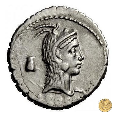 412/1 - denario L. Roscius Fabatus 64 BC (Roma)