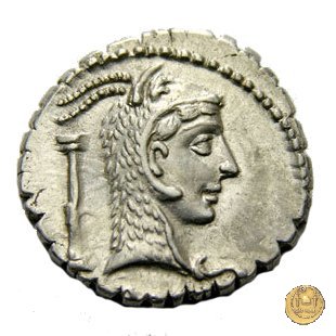 412/1 - denario L. Roscius Fabatus 64 BC (Roma)