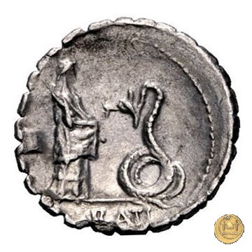 412/1 - denario L. Roscius Fabatus 64 BC (Roma)