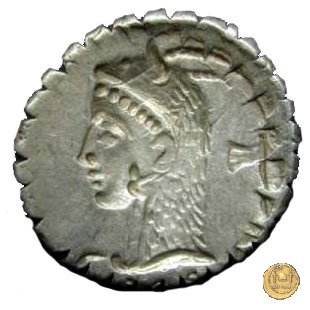 412/1 - denario L. Roscius Fabatus 64 BC (Roma)