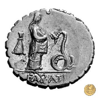 412/1 - denario L. Roscius Fabatus 64 BC (Roma)