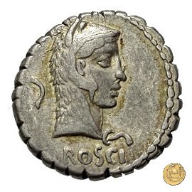 412/1 - denario L. Roscius Fabatus 64 BC (Roma)