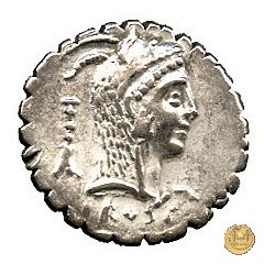 412/1 - denario L. Roscius Fabatus 64 BC (Roma)