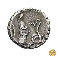 412/1 - denario L. Roscius Fabatus 64 BC (Roma)