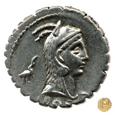 412/1 - denario L. Roscius Fabatus 64 BC (Roma)