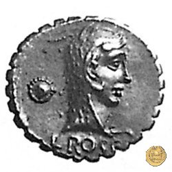 412/1 - denario L. Roscius Fabatus 64 BC (Roma)