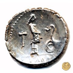 412/1 - denario L. Roscius Fabatus 64 BC (Roma)