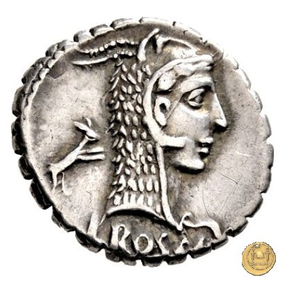 412/1 - denario L. Roscius Fabatus 64 BC (Roma)