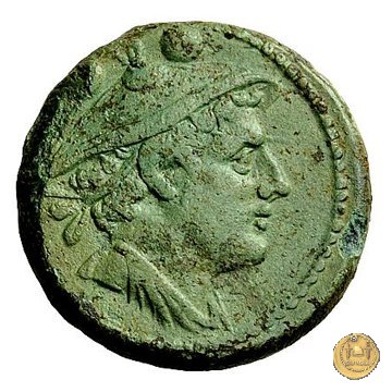 41/9 215-212 BC (Roma)