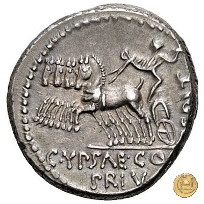 420/1 - denario P. Plautius Hypsaeus 60 BC (Roma)