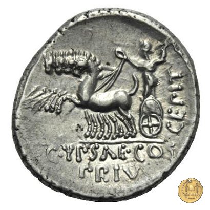 420/1 - denario P. Plautius Hypsaeus 60 BC (Roma)