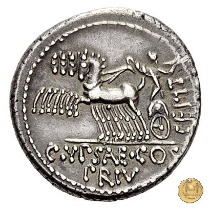 420/1 - denario P. Plautius Hypsaeus 60 a.C. (Roma)