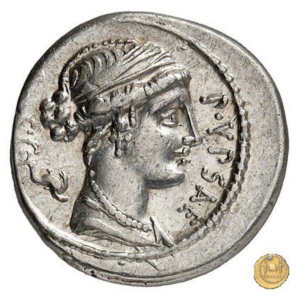 420/2 - denario P. Plautius Hypsaeus 60 BC (Roma)