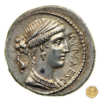 420/2 - denario P. Plautius Hypsaeus 60 BC (Roma)