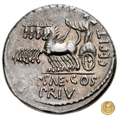 420/2 - denario P. Plautius Hypsaeus 60 BC (Roma)