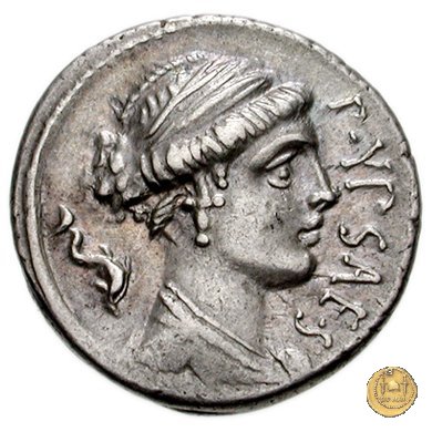 420/2 - denario P. Plautius Hypsaeus 60 BC (Roma)