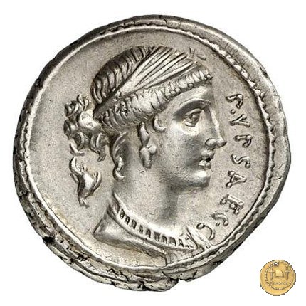 420/2 - denario P. Plautius Hypsaeus 60 BC (Roma)