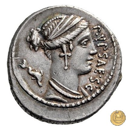 420/2 - denario P. Plautius Hypsaeus 60 BC (Roma)