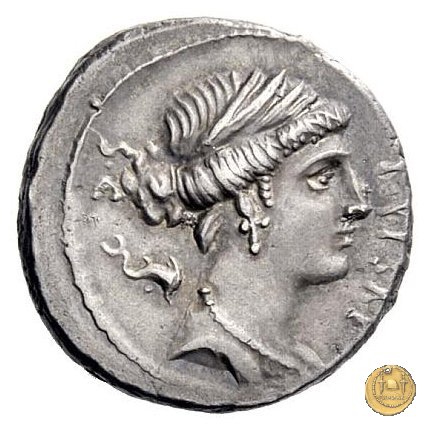 420/2 - denario P. Plautius Hypsaeus 60 BC (Roma)