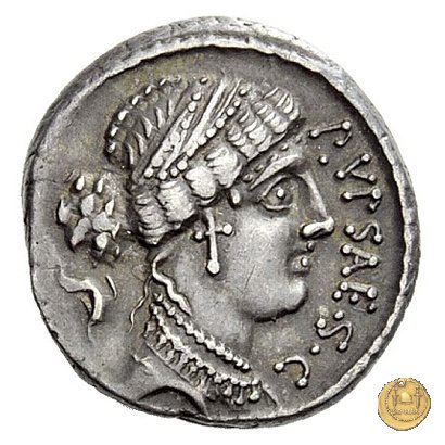 420/2 - denario P. Plautius Hypsaeus 60 BC (Roma)