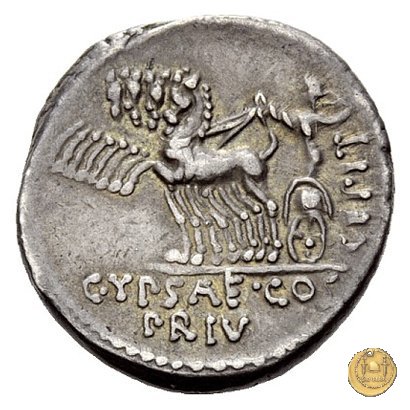 420/2 - denario P. Plautius Hypsaeus 60 BC (Roma)