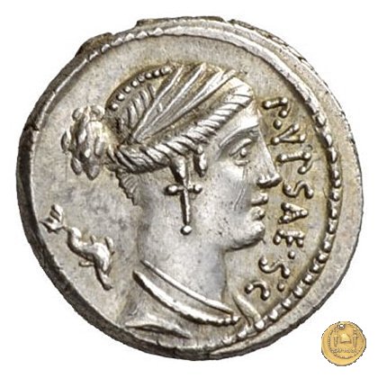 420/2 - denario P. Plautius Hypsaeus 60 BC (Roma)