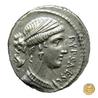 420/2 - denario P. Plautius Hypsaeus 60 BC (Roma)