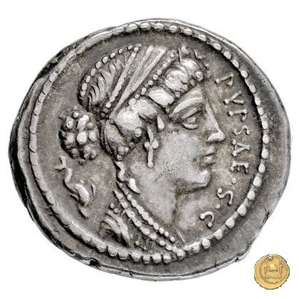 420/2 - denario P. Plautius Hypsaeus 60 BC (Roma)