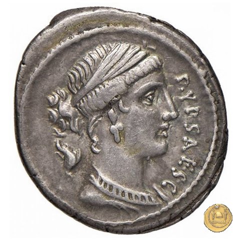 420/2 - denario P. Plautius Hypsaeus 60 BC (Roma)