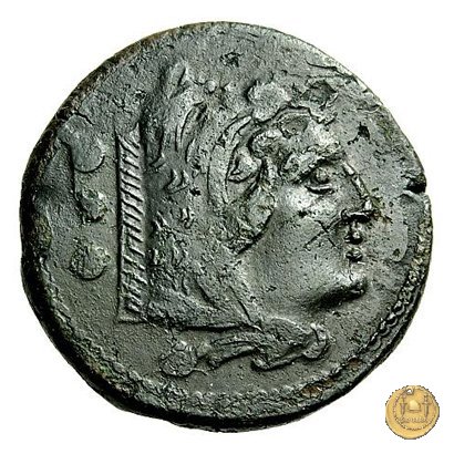 42/2 214-212 BC (Sicilia)