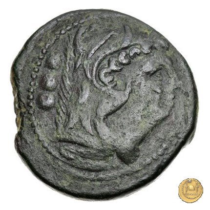 42/2 214-212 BC (Sicilia)